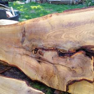 holz